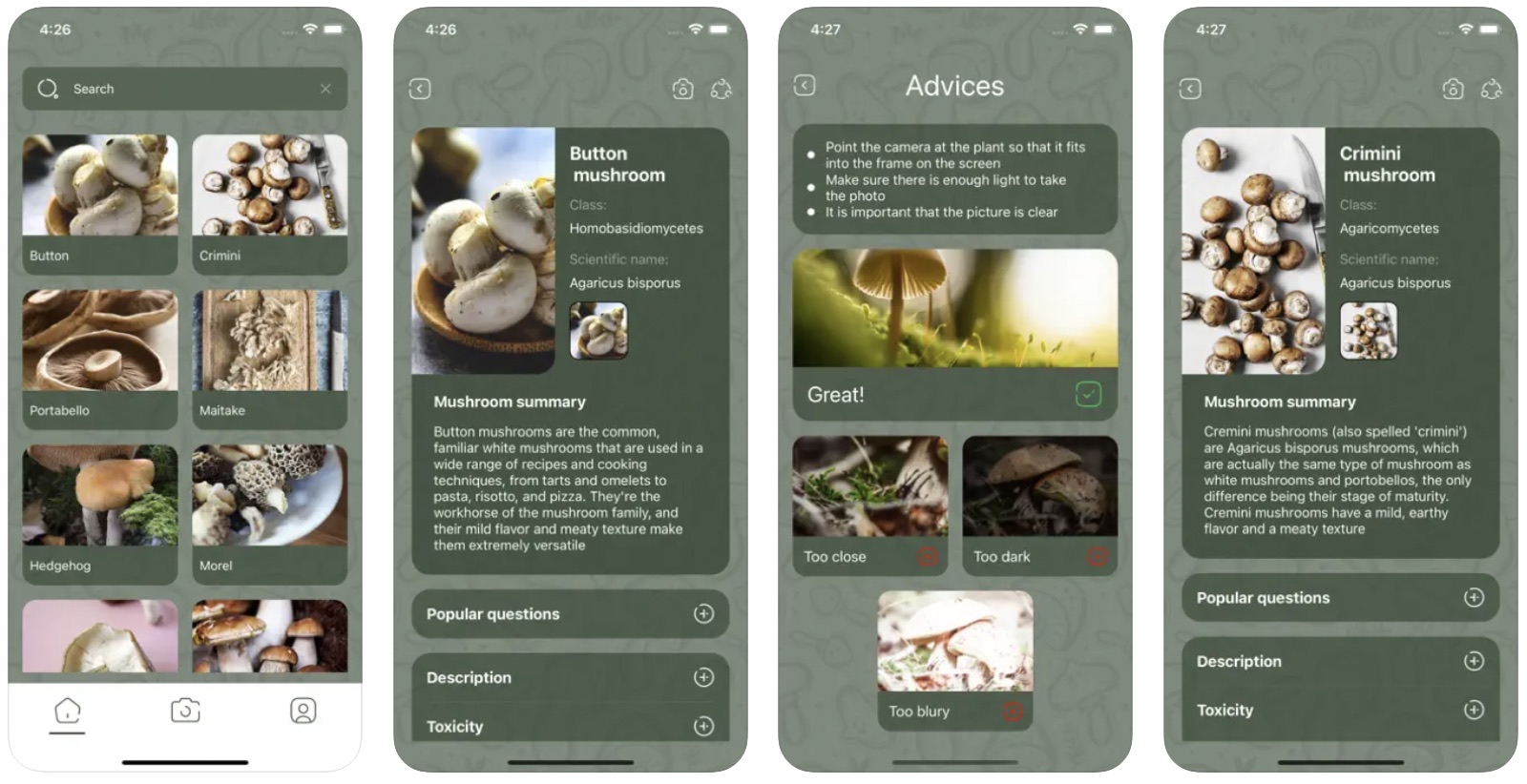 Mushroom identifier